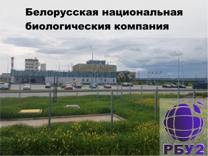 БНБК