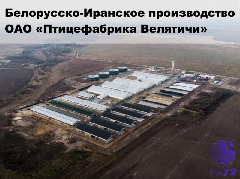Птицефабрика в Велятичах